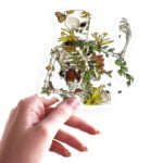 Bones and Botany