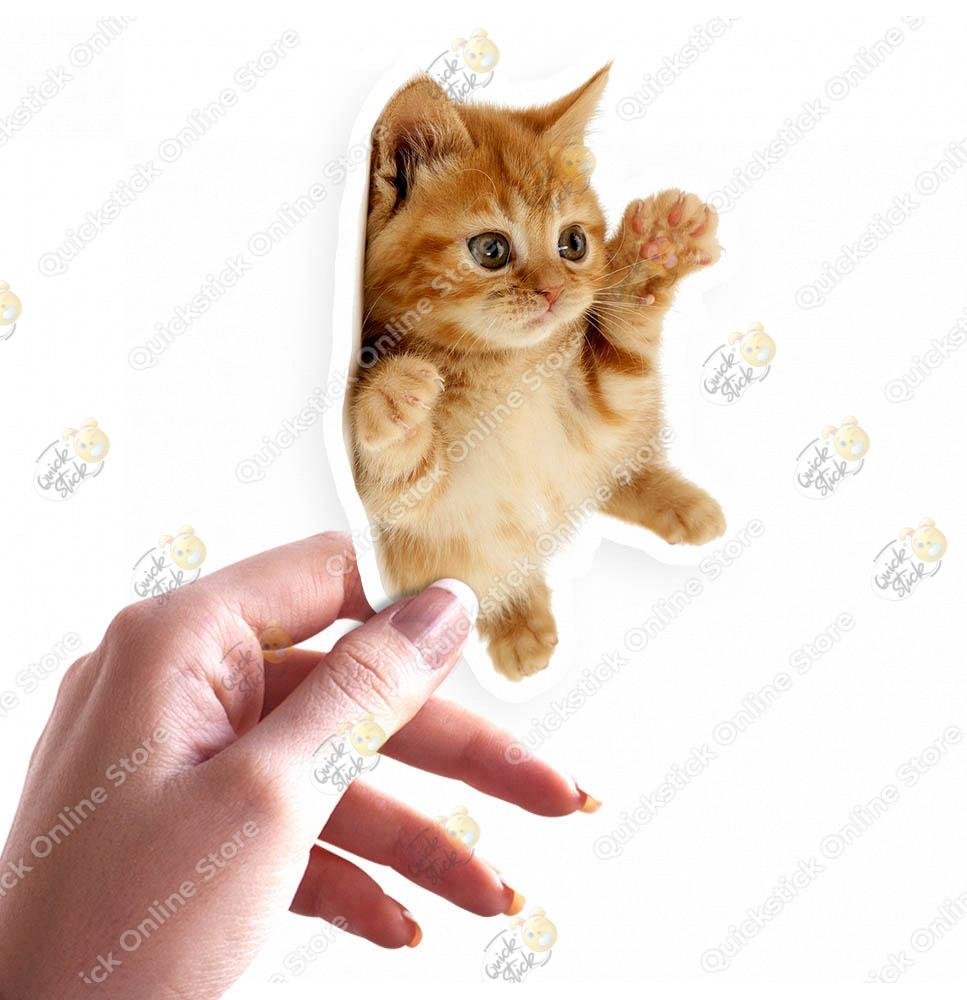 5 3D Real Cat - Image 1