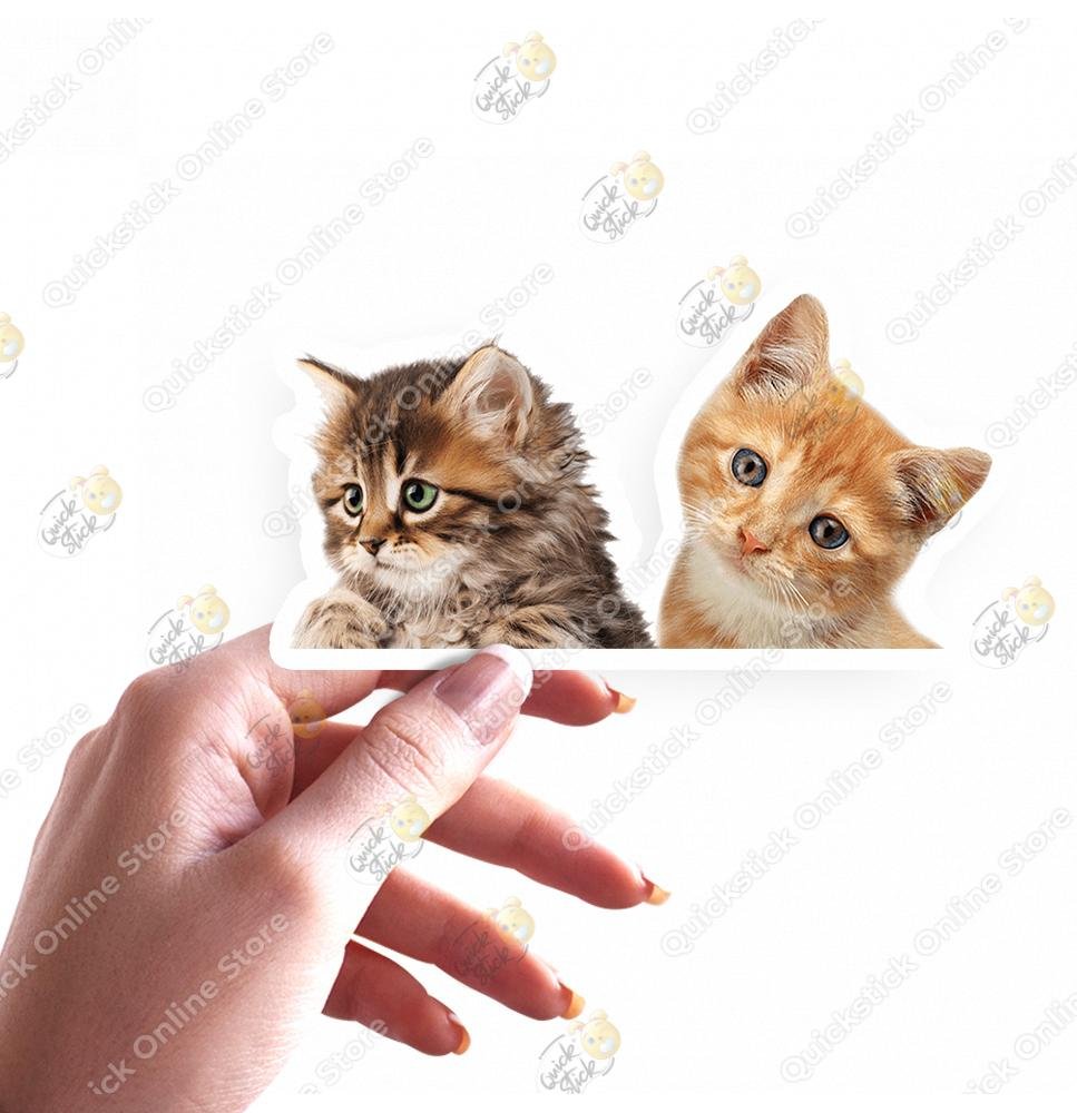 200 Cats - Image 1