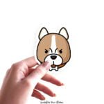 Shiba Inu Dog