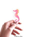 Seahorse cute