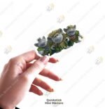 Frozen Mini Stickers