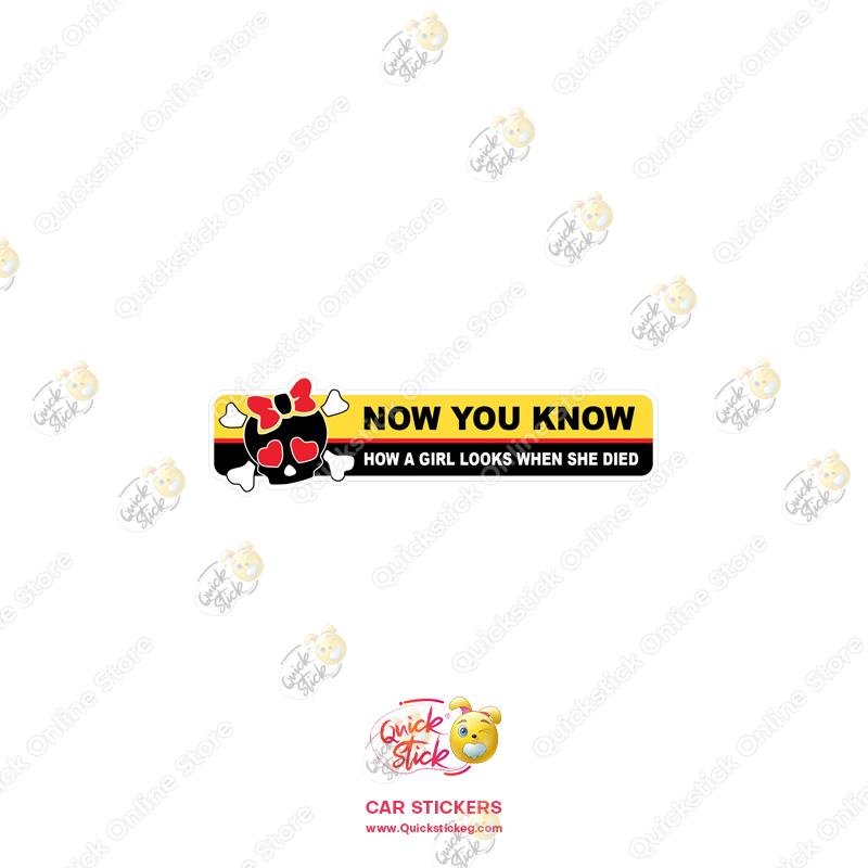 13 Quickstick Car Stickers - Image 1