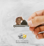 Nema El Avoccato Quickstick Mini stickers